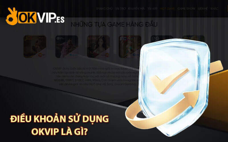 Điều khoản sử dụng OKVIP