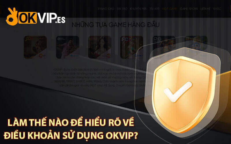 Điều khoản sử dụng OKVIP